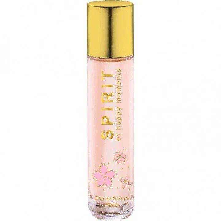 Spirit of Happy Moments — Spirit
