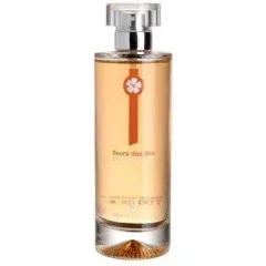 DKNY Women Limited Edition 2013 - Fall — DKNY / Donna Karan