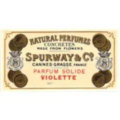 Parfum Solide Violette — Marcus Spurway