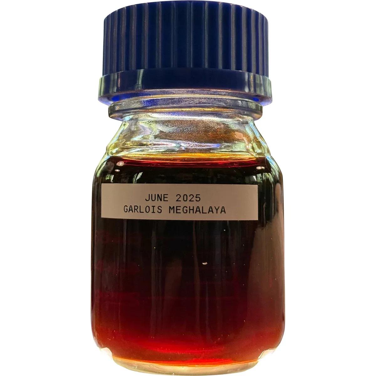 Garlois 2025 — The Rising Phoenix Perfumery