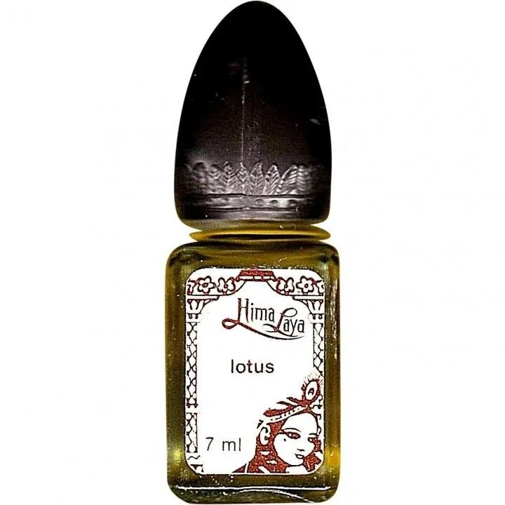 Lotus — Hima Laya