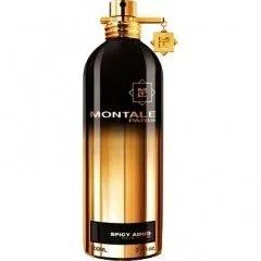 Spicy Aoud Aoud Spicy Musk — Montale