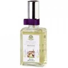 Lavanda — Speziali Fiorentini