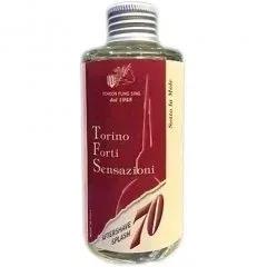Torino Forti Sensazioni - Sotto la Mole — Tcheon Fung Sing