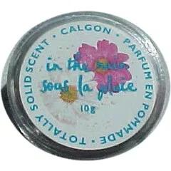 In the Rain — Calgon