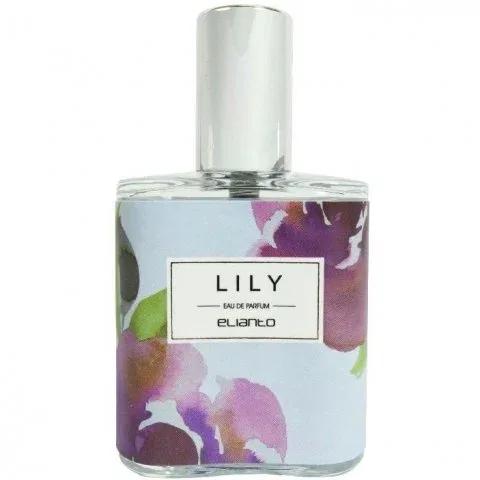 Lily — Elianto