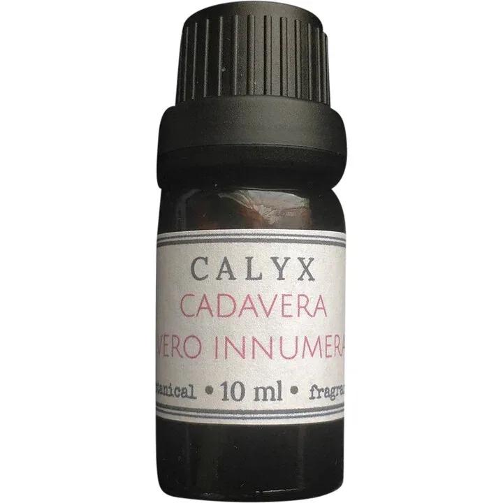 Cadavera Vero Innumera — Calyx