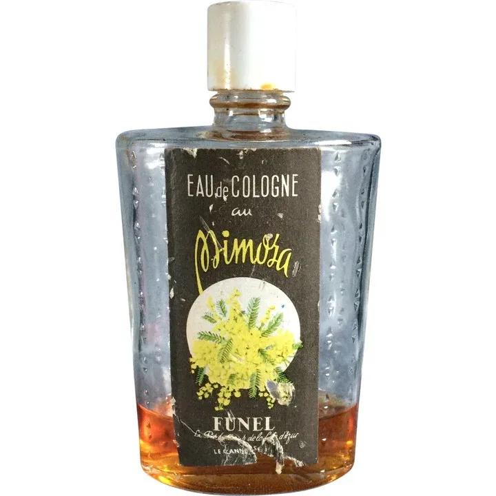 Mimosa — Funel