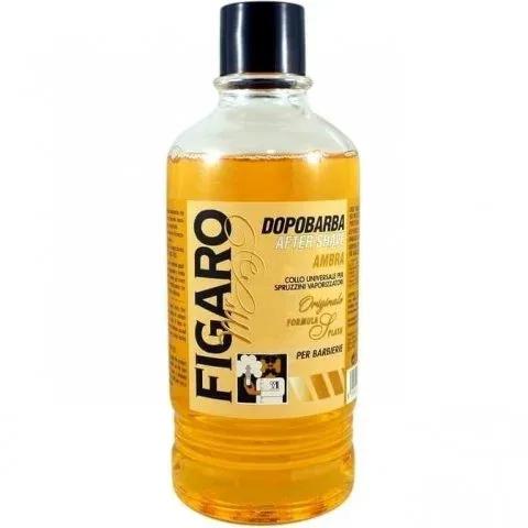 Figaro Monsieur - Ambra — Tcheon Fung Sing