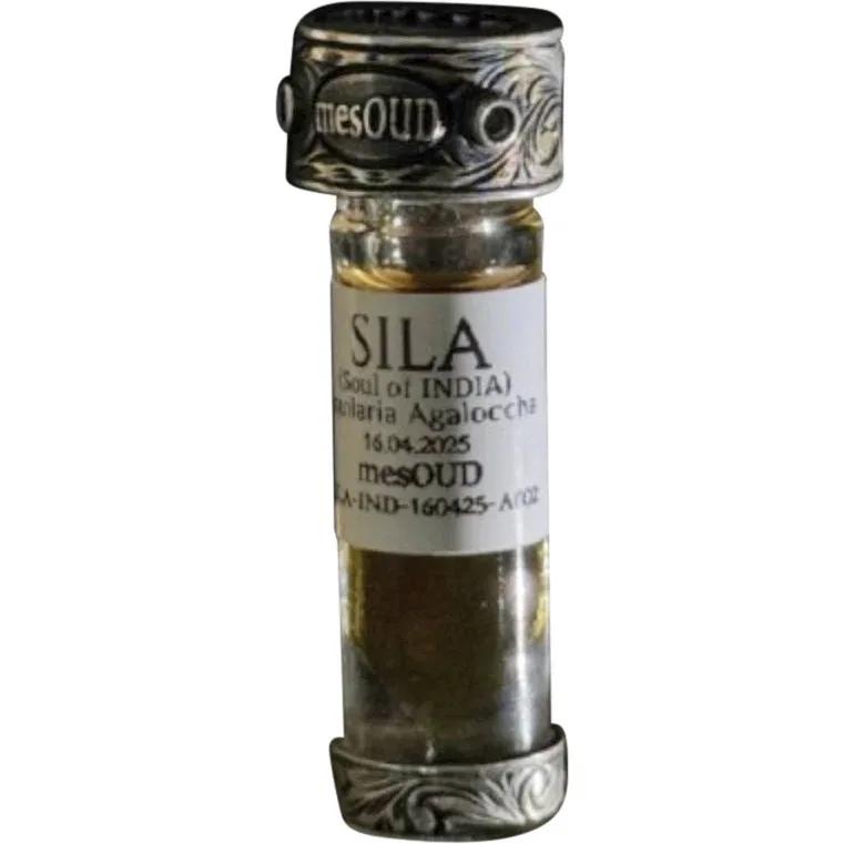 Sila (Soul of India) — mesOud