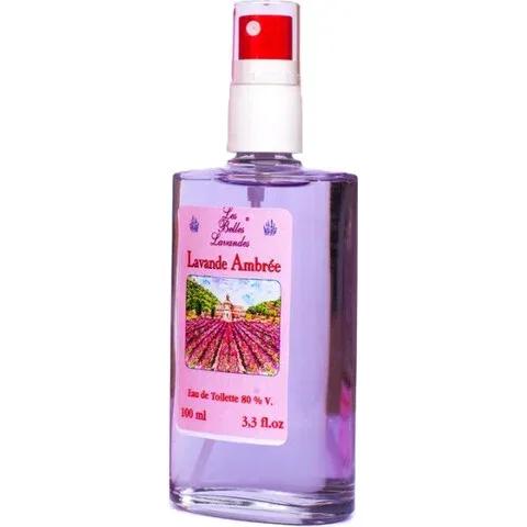 Les Belles Lavandes - Lavande Ambrée — Prestige de Menton