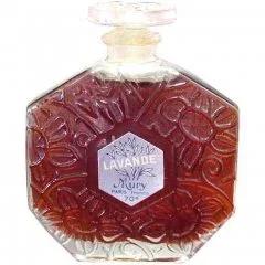 Eau Dynamisante 25th Anniversary — Clarins