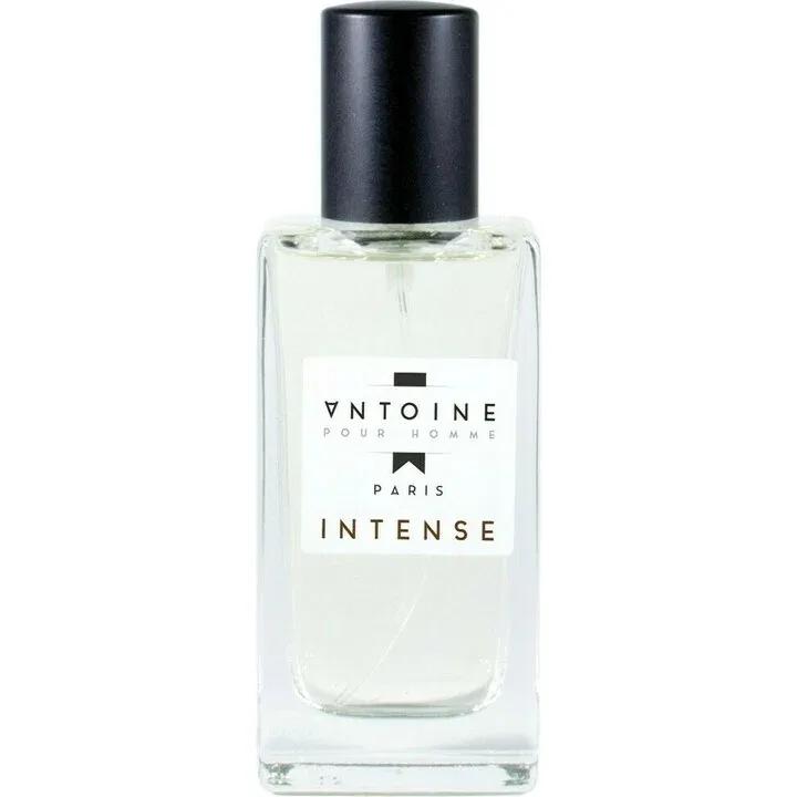 Antoine Intense — Antoine Parfums