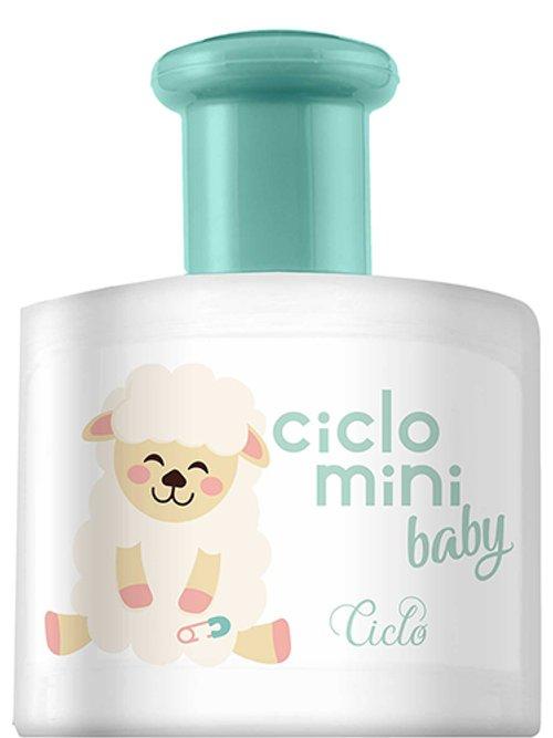 Mini Baby Beé — Ciclo