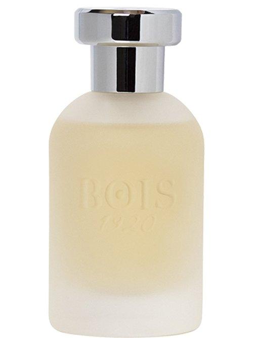 Come l'Amore — Bois 1920