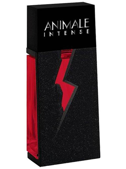 Animale Intense For Men — Animale