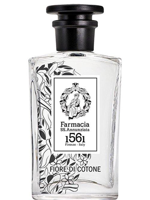 Fiore Di Cotone — Farmacia Ss. Annunziata 1561