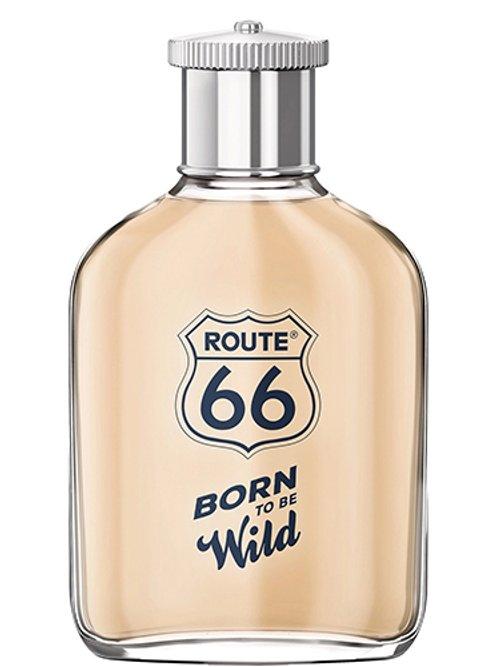 Born To Be Wild — Route 66