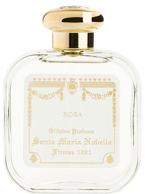 Rosa — Santa Maria Novella