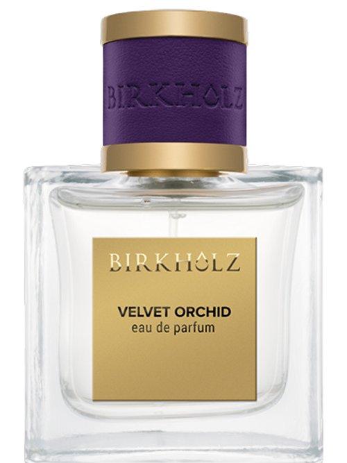 Velvet Orchid — Birkholz
