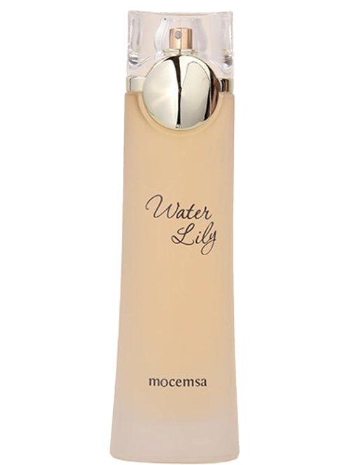 Water Lily — Mocemsa