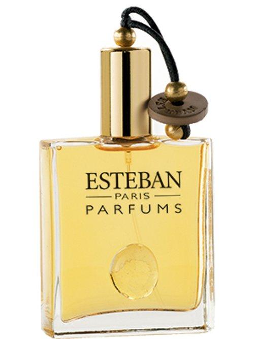 Cèdre — Estéban