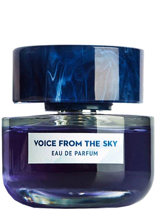 Voice From The Sky — Voice From The Sky