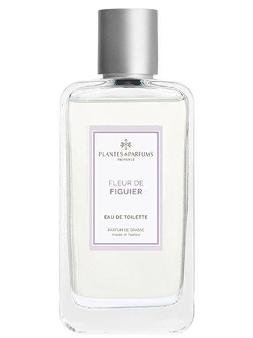 Fleur De Figuier Plantes & Parfums — Plantes & Parfums
