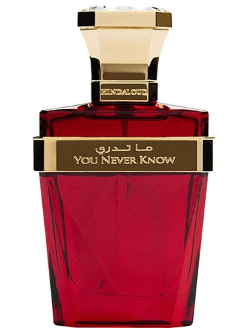 You Never Know — Hind Al Oud