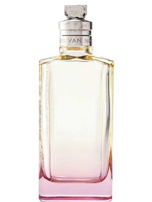 Orange Smoke — Dries Van Noten