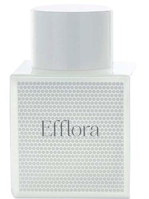 Efflora — Odin New York