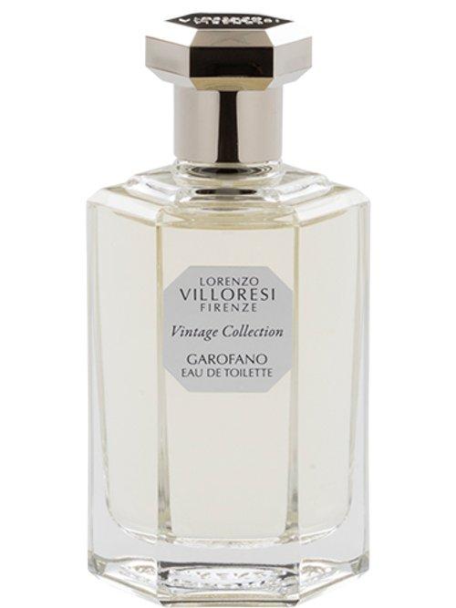 Garofano — Lorenzo Villoresi