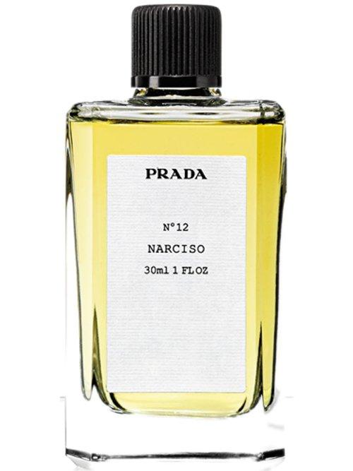 Narciso Nº 12 — Prada