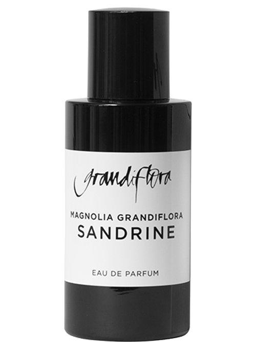 Sandrine Magnolia — Grandiflora