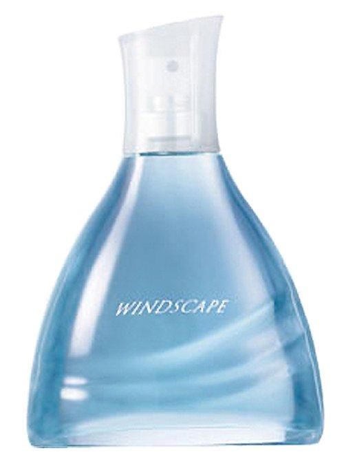 Windscape for Him — Avon
