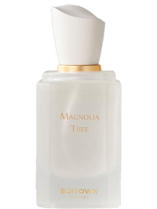 Magnolia Tree — Boitown