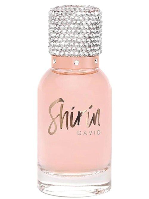 Created By The Community — Shirin David