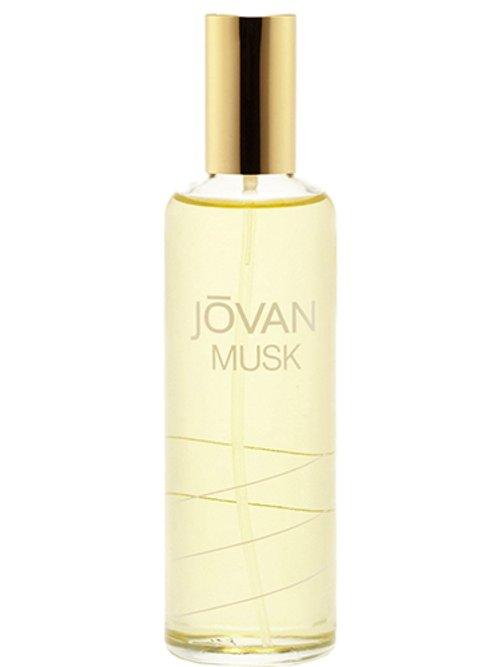 Jovan Musk — Jovan