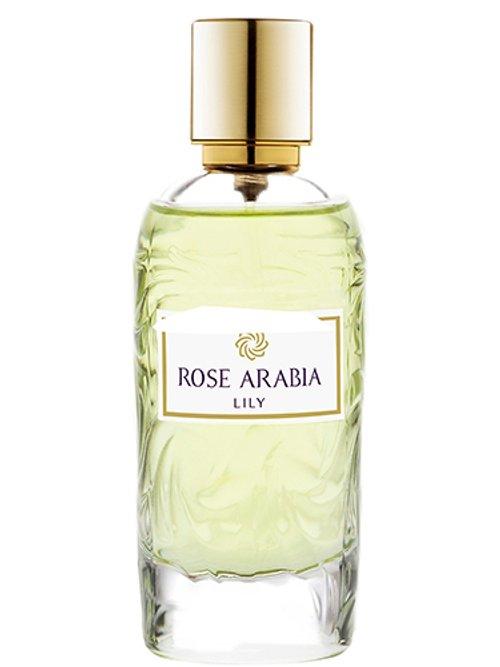 Lily — Rose Arabia