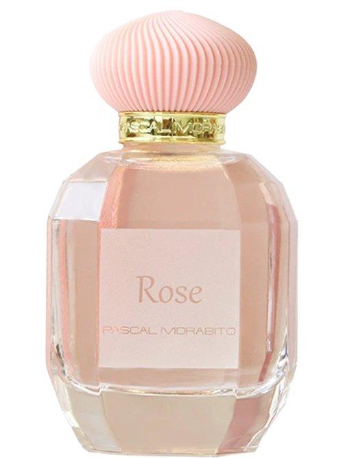 Rose — Pascal Morabito