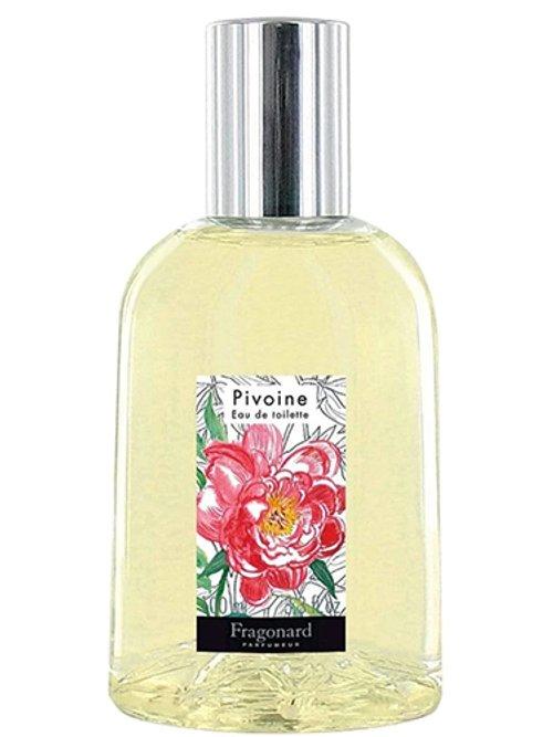 Pivoine — Fragonard