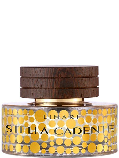 Stella Cadente — Linari