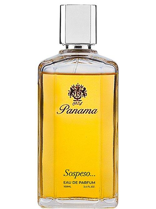 Panama Sospeso — Panama 1924