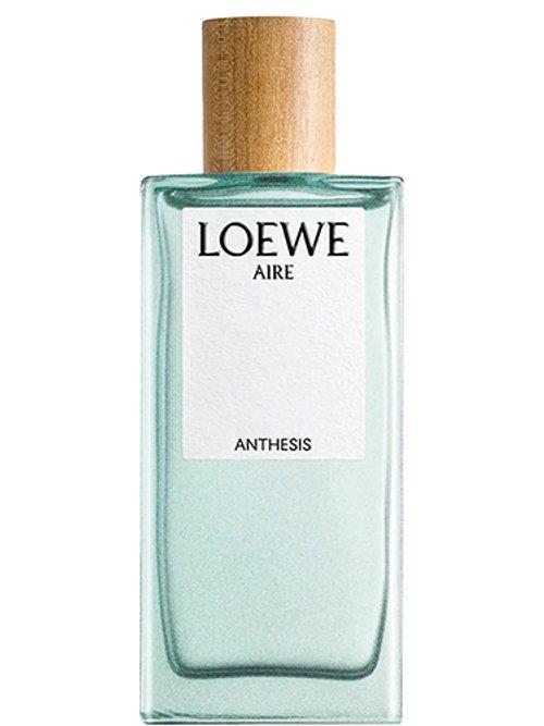 Loewe Aire Anthesis — Loewe