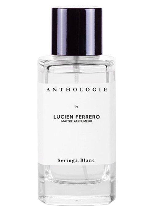 Seringa Blanc — Lucien Ferrero