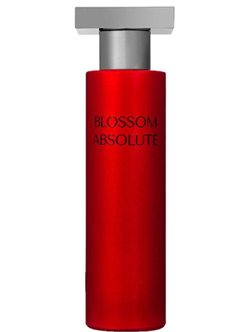 Blossom Absolute — 15Degreeslondon
