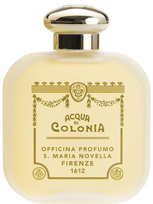 Gelsomino — Santa Maria Novella