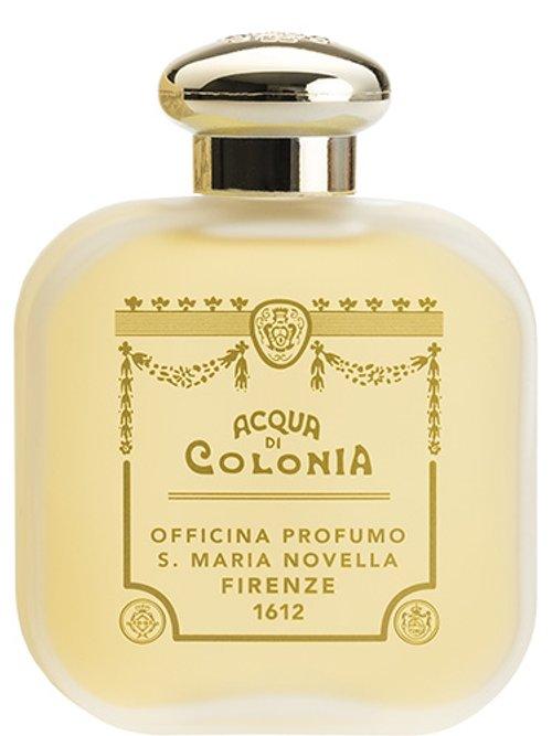 Mughetto — Santa Maria Novella