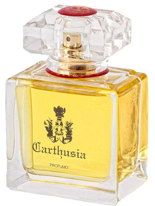 Prima — Carthusia