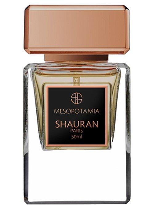 Mesopotamia — Shauran